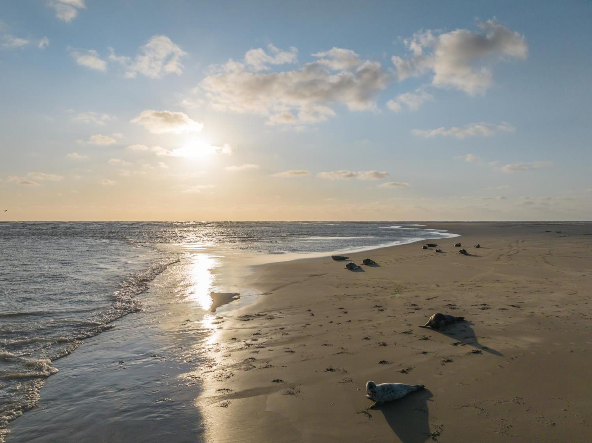 Hotel De Zeeuwse Stromen Renesse Luaran gambar